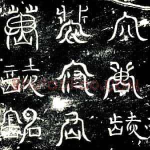唐代 楷书墓志拓片《大唐故汝阴郡汝阴县令裴府君之墓志》高清图片欣赏