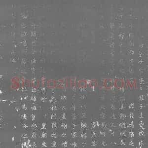唐代 楷书墓志拓片《唐故沙弥僧蒋氏子墓志》高清图片欣赏
