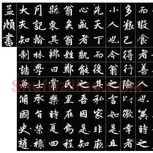 元 赵孟俯 集字 书寿春堂记 共21页