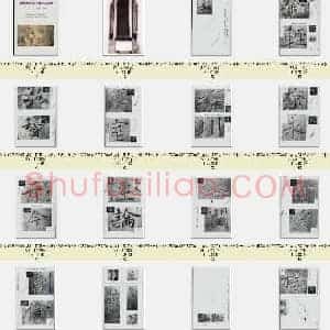 唐代 褚遂良《雁塔圣教序记录》全本图片 日文版 荒金大琳 共336页