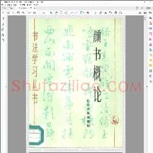 颜书概论