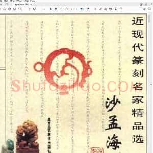 沙文若印集.pdf
