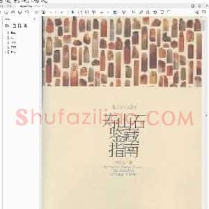 寿山石鉴藏指南.pdf