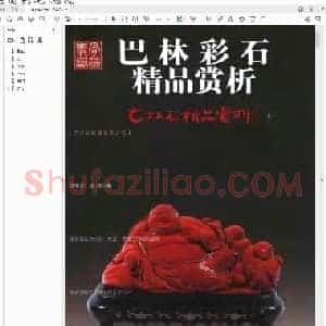 张学苍 王陟《巴林彩石》.pdf