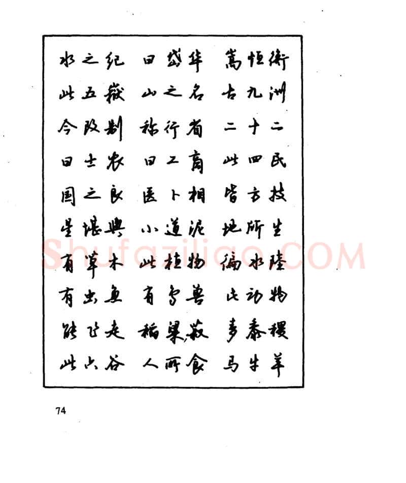 沈鸿根硬笔行书字帖,摘自沈鸿根 江鸟钢笔行书字帖