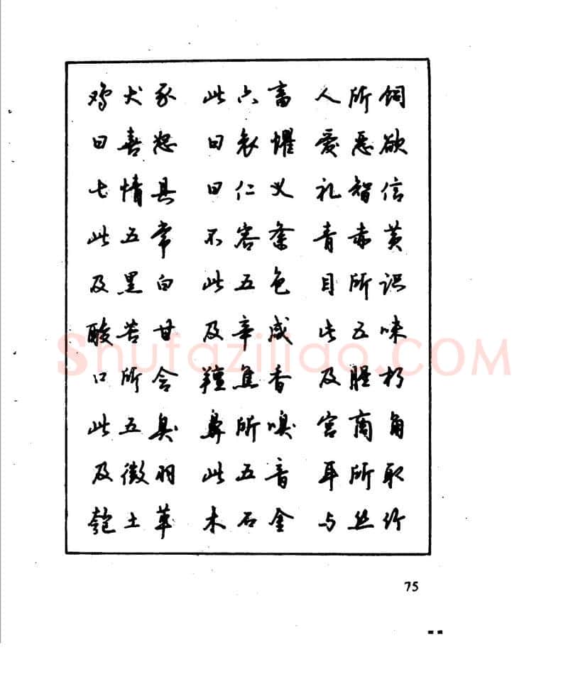 沈鸿根硬笔行书字帖,摘自沈鸿根 江鸟钢笔行书字帖