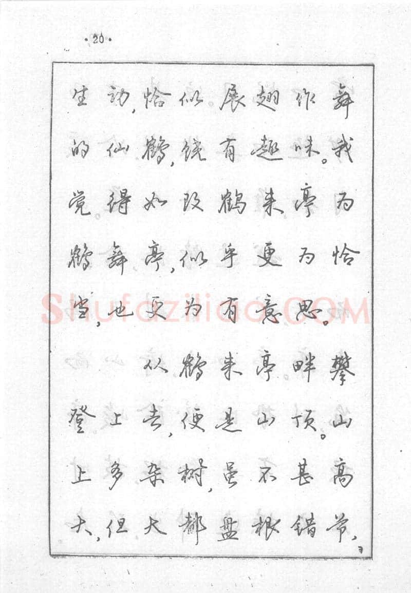 沈鸿根硬笔行书字帖,摘自沈鸿根 (江鸟)《钢笔行书横写字帖》( 完整版 )