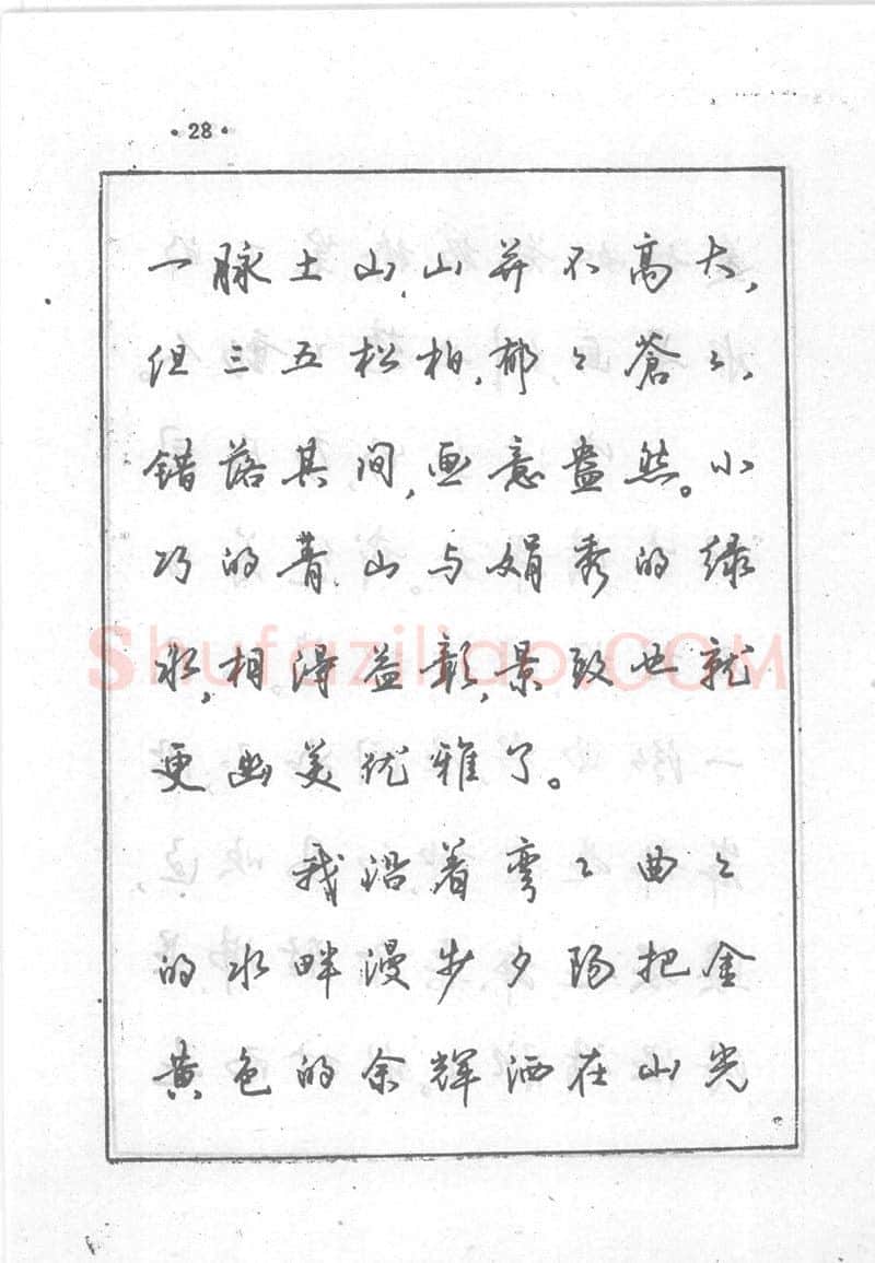 沈鸿根硬笔行书字帖,摘自沈鸿根 (江鸟)《钢笔行书横写字帖》( 完整版 )