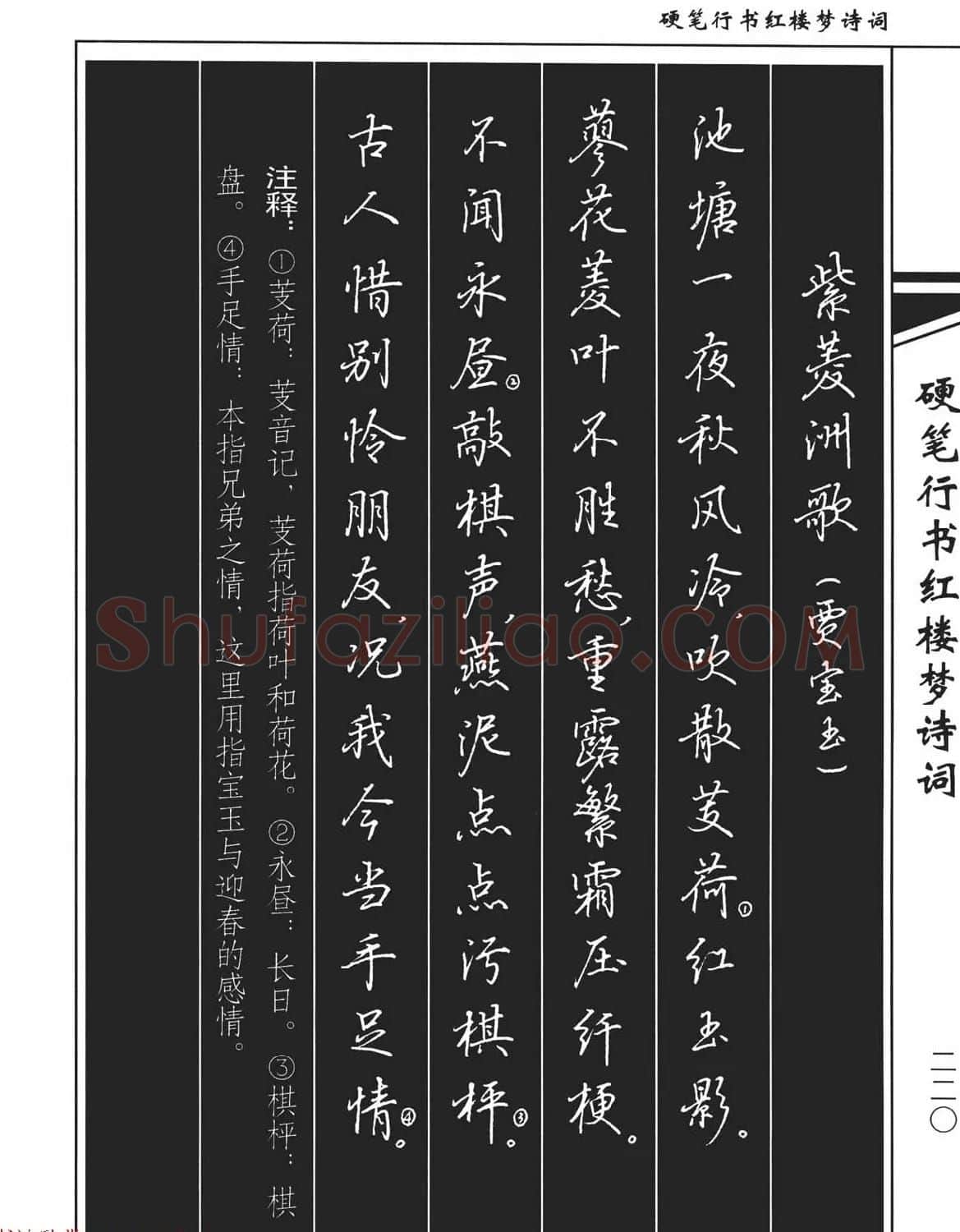 吴玉生钢笔字帖欣赏《硬笔行书红楼梦诗词》 | 硬笔书法字帖