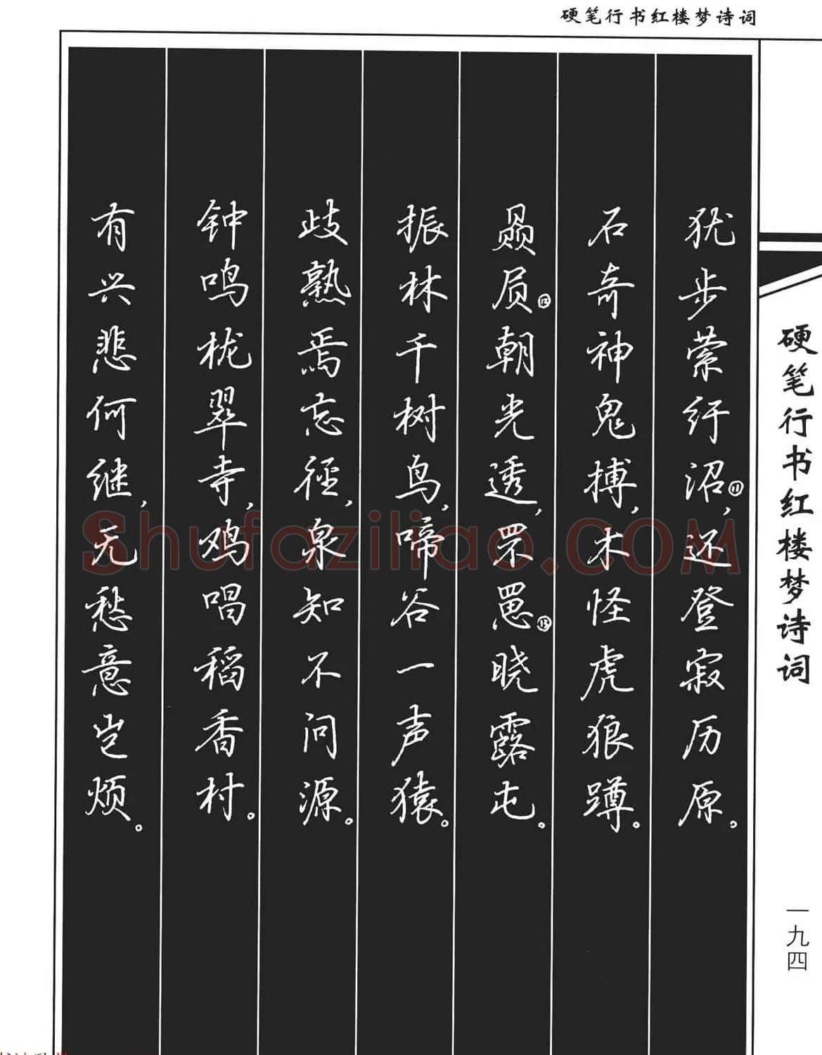 吴玉生钢笔字帖欣赏《硬笔行书红楼梦诗词》 | 硬笔书法字帖