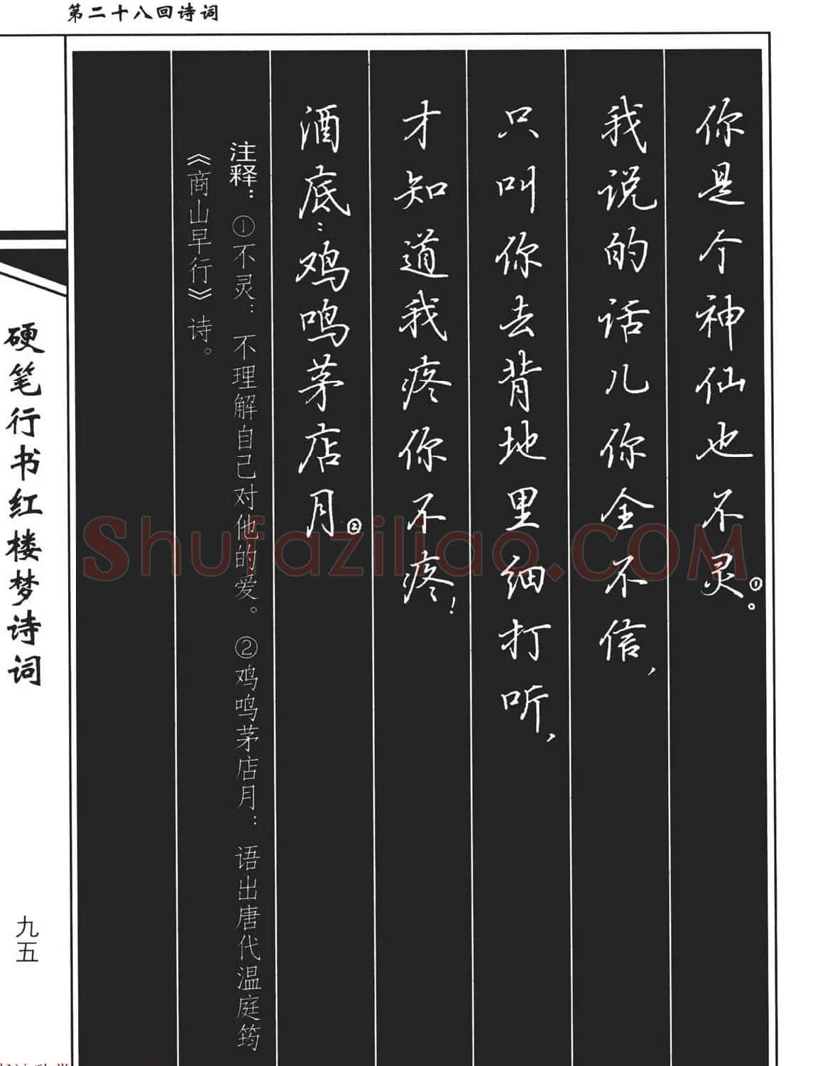 吴玉生钢笔字帖欣赏《硬笔行书红楼梦诗词》 | 硬笔书法字帖