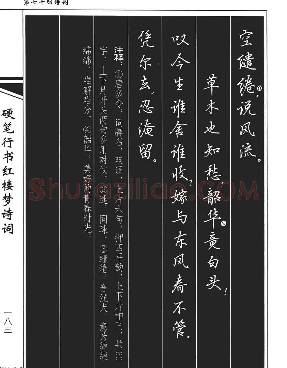 吴玉生钢笔字帖欣赏《硬笔行书红楼梦诗词》 | 硬笔书法字帖
