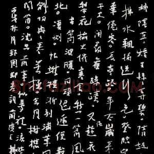 熊志凌 硬笔行草作品《周邦彦词兰陵王》图片欣赏