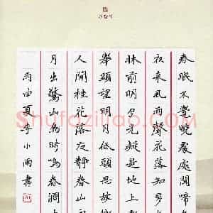 李小雨 硬笔楷书作品《唐诗三首》图片欣赏