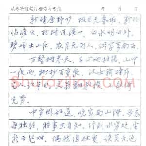 从苏华 硬笔行书作品《王维诗四首》图片欣赏