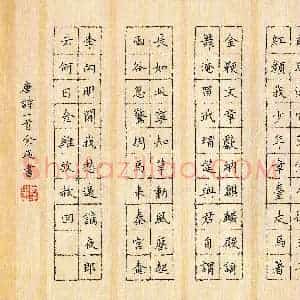 余飞(成人组)硬笔书法大赛 入围作品选登图片欣赏