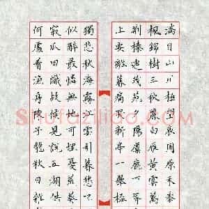汤远昌(成人组 铜奖)硬笔书法大赛 获奖作品图片欣赏