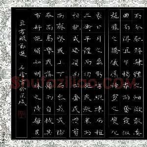 石晗 硬笔楷书作品《草书赋节选》图片欣赏