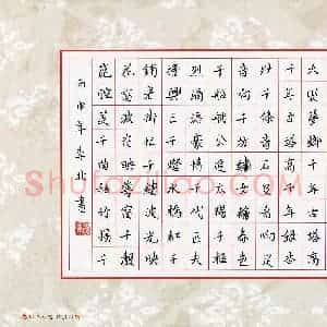 李非(少儿组 13岁)硬笔书法大赛 入围作品选登图片欣赏