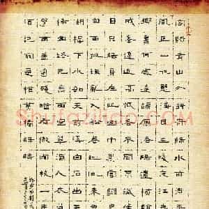 罗云雨(成人组 精品奖)硬笔书法大赛 获奖作品图片欣赏