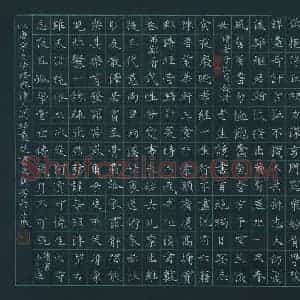 胡北芳 硬笔楷书作品《放翁诗选抄》图片欣赏