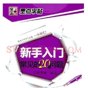 荆霄鹏 新手入门常见的20个问题 行楷