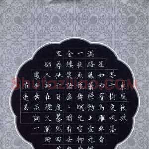 汤远昌 硬笔楷书作品《辛弃疾词一首》图片欣赏