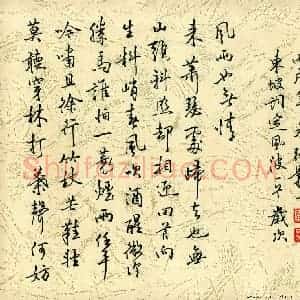 张颢 硬笔行书作品《东坡词定风波一首》图片欣赏