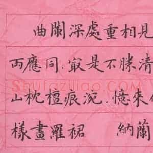 张颢 硬笔楷书作品《纳兰词》图片欣赏