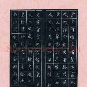 段瑞明 硬笔楷书作品《内江西林寺长联》图片欣赏