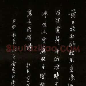 蔡金星 硬笔行书作品《杜甫诗一首》图片欣赏