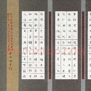 雷华祥(成人组)硬笔书法大赛 入围作品选登图片欣赏