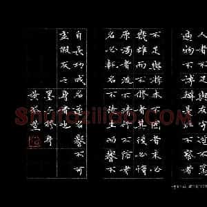 黄岑萱(少儿组 14岁 金奖)硬笔书法大赛 获奖作品图片欣赏