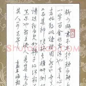 林海龙 硬笔行书作品《书论选抄柳少师书》图片欣赏
