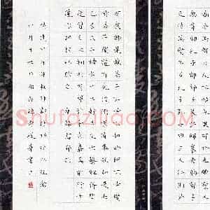 孙奇(成人组)硬笔书法大赛 入围作品选登图片欣赏