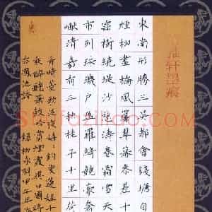 杨海红(成人组)硬笔书法大赛 入围作品选登图片欣赏