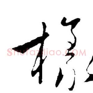 样