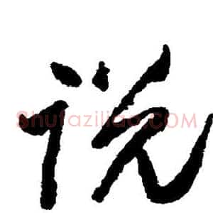 说