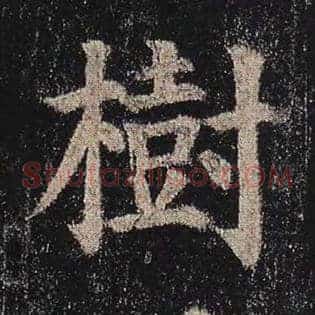 树