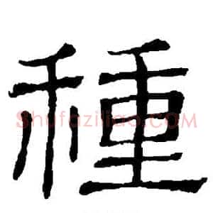 种