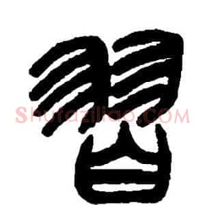 习