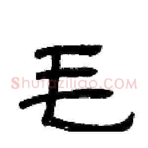 毛