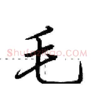 毛